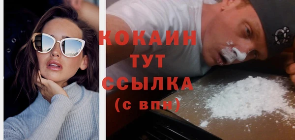 сатива Армянск