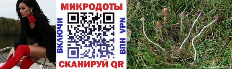 hydra tor shop формула Псилоцибиновые грибы MAGIC MUSHROOMS сколько стоит Соль-Илецк